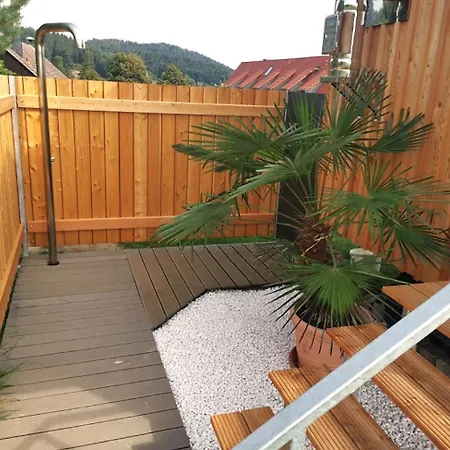 Апартаменты In Papstdorf 