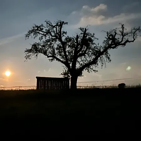 Apartamento In Papstdorf Rübezahlstiege Kurort Gohrisch